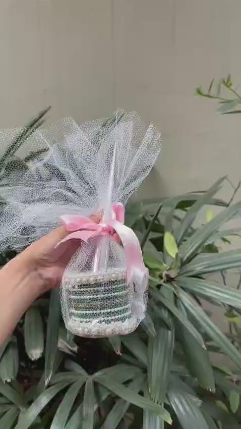 Eid potli
